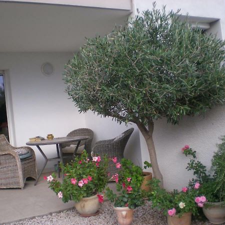 Apartament La Scribote Marseillan  Zewnętrze zdjęcie