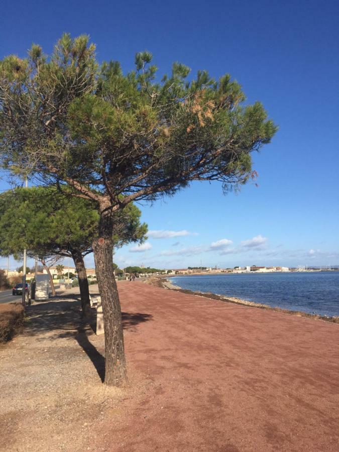 Apartament La Scribote Marseillan  Zewnętrze zdjęcie